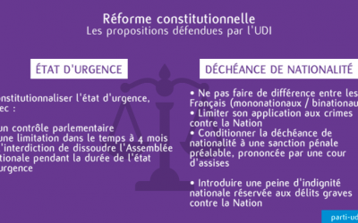 Réforme constitutionnelle : intervention en commission des lois